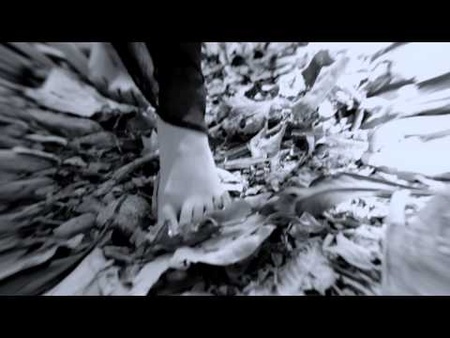 Daylight Dies - Dreaming Of Breathing (Official Video)