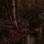 Aran - Pimeyttä vasten