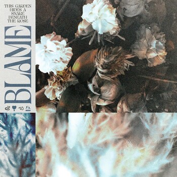 Blame - This Garden Hides a Snake Beneath the Rose