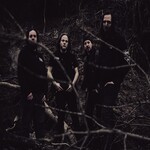 Image band