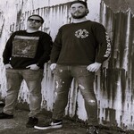 Image band