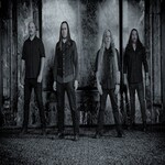 Image band