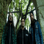 Image band