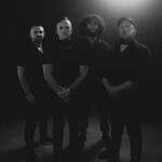 Image band