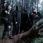Image band