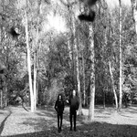 Image band