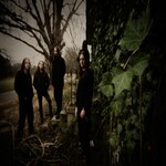 Image band